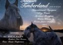 Tatuin Timberland - Campione Internazionale di Bellezza e Campione Italiano di Lavoro in tana su volpe